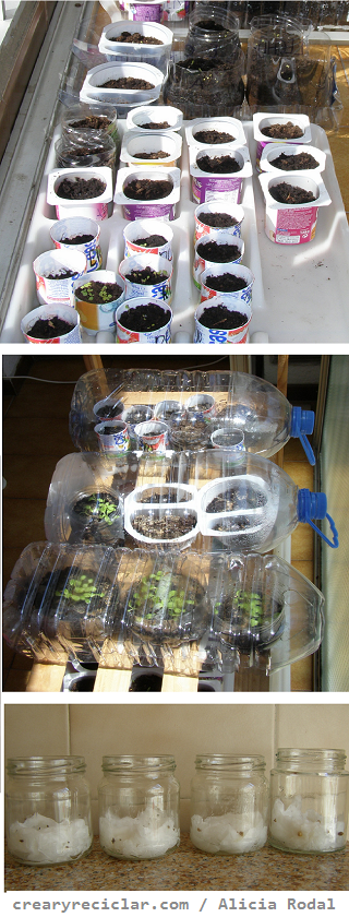 Cómo hacer varios semilleros con diferentes envases reciclados, para tener tu huerta en casa