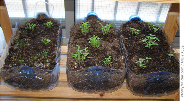 Cómo hacer varios semilleros con diferentes envases reciclados, para tener tu huerta en casa