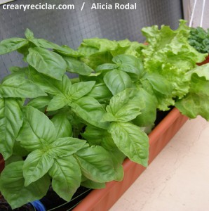 Cómo hacer una huerta vertical giratoria o huerto urbano y con envases reciclados