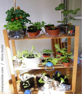Cómo hacer una huerta vertical giratoria o huerto urbano y con envases reciclados