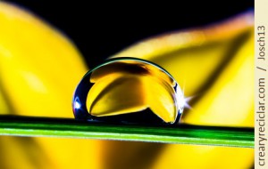 oro parece agua es