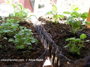 Cómo hacer una huerta vertical giratoria o huerto urbano y con envases reciclados