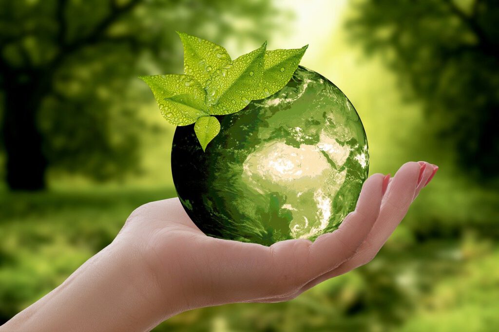 Para poder conservar el planeta y proteger el medio ambiente es importante que empecemos a reciclar de forma habitual.