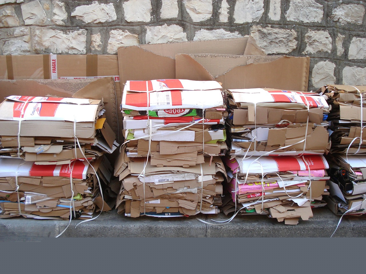 Para poder conservar el planeta y proteger el medio ambiente es importante que empecemos a reciclar de forma habitual. 