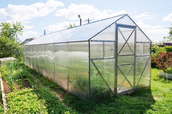 Consejos para construir tu invernadero con policarbonato - Crear y Reciclar
