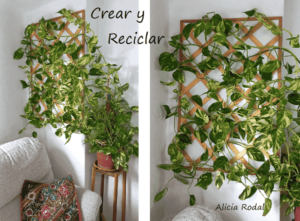 Si necesitas organizar el espacio en tu casa o trabajo o decorar algún evento especial, en esta publicación encontrarás un gran recopilatorio con más de 25 ideas útiles y creativas hechas con cajas de frutas o huacales de plástico y madera.