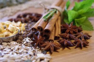 Descubre el mundo de las plantas, sus beneficios medicinales y cómo aprovecharlas de forma segura según tu edad y condición física
