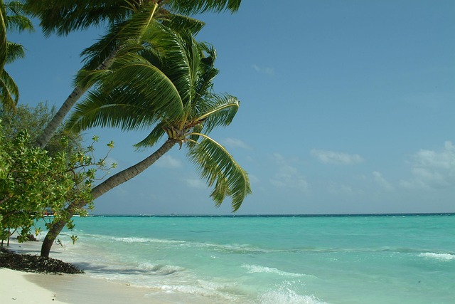 Para una semana de invierno al sol desde Alemania, Cabo Verde suele funcionar mejor si buscas una escapada de playa directa, con resorts, arena, viento y la posibilidad de salir de la finca para ver una isla árida y abierta. Las Maldivas encajan mejor cuando la isla-resort, el arrecife, el agua y el descanso dentro de un entorno muy concentrado son el propio objetivo del viaje.